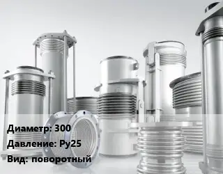 Компенсатор 300 Ру25 поворотный